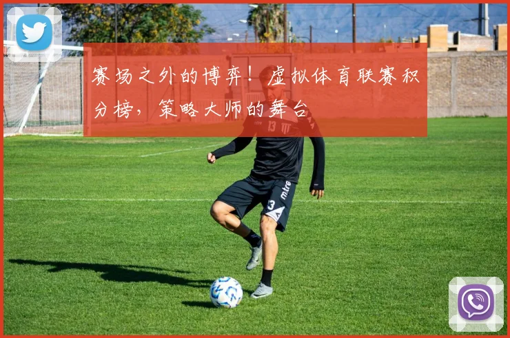 赛场之外的博弈！虚拟体育联赛积分榜，策略大师的舞台